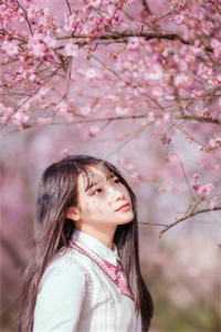 离婚后前夫哥变成狗了前文+